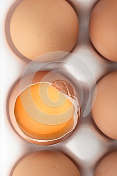 Close-up of the yolk in a broken shell of a chicken egg