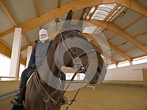 CLOSE UP: Young woman in winter jacket sitting on beautiful brown haired horse.