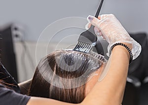 Close up of young female hairdresser`s hands are dyeing client`s
