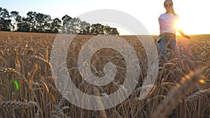 Close up of young girl in sunglasses going with her dog across spikelets at meadow. Cute siberian husky pulling the