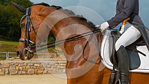 CLOSE UP: Young woman cantering on a brown gelding during dressage competition.