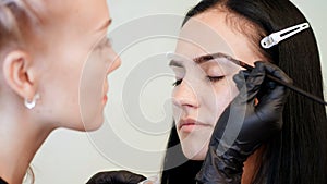 close up. young woman gets eyebrow correction procedure. kosmetolog- makeup artist applies paint with brush on eyebrows