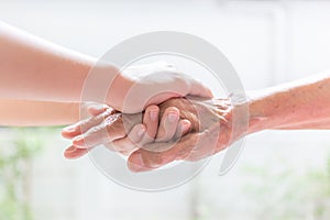Close up of young woman hand holding with tenderness an elderly