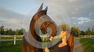 CLOSE UP: Young woman holds her stallion by the reins and pets him on the muzzle