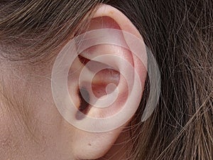 Ear, auricle and earlobe of a woman in close-up photo