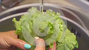 Close-up of a young woman washing fresh lettuce in the kitchen sink at home.