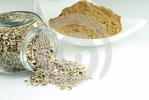 Close up of Zira seeds