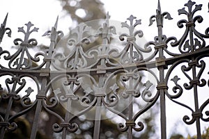 Forged iron fence