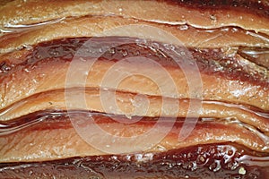 Close view of anchovies