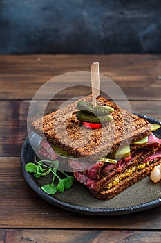 Close view of beef pastrami sandwich