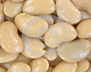 Close view butter beans