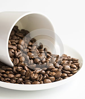 Close View of Coffee Beans in Cup and Saucer