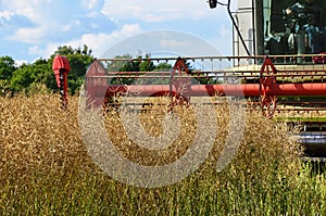 Close view on the combine harvesting the colza