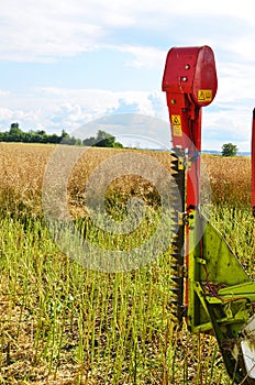 Close view on the combine harvesting the colza