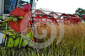 Close view on the combine harvesting the colza