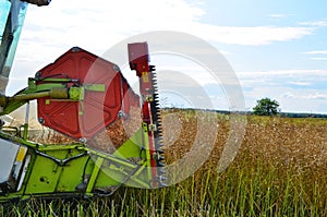 Close view on the combine harvesting the colza