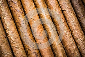 Close view on cuban hand rolled cigars photo
