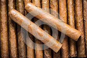 Close view on cuban hand rolled cigars photo