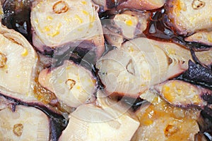 Close view of cut octopus in sauce