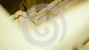 Close view of dough mixing in an automatic kneader equipment on bakery factory