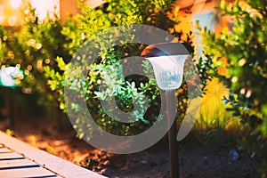 Close View Of Energy-Saving Solar Powered Lantern Glowing White Light In Garden. Backlighted Garden Plants