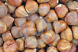 Close view of filbert nuts