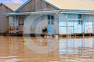 close view of floating house with dog on mekong river
