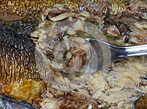 Close view of a fork in partially eaten canned herring in olive oil