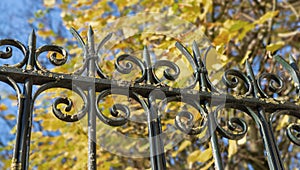 close view of gate with autumn foliage in background