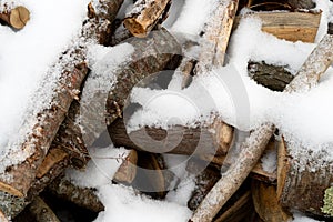 Close view of hardwood and softwood firewood covered with snow in the wintertime