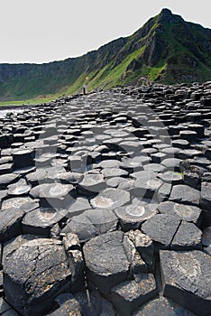 Close view of hexagonal stones at Giant`s Causeway