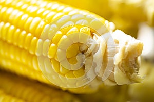 Close view on Homemade golden corn cob
