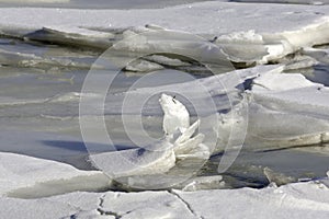 Close view of ice floes