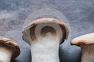 Close view of King oyster mushroom, Pleurotus eryngii, on dark background.