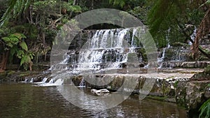 Close view of liffey falls in tasmania