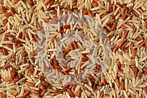 Close view of a mixture of long grain brown rice and red rice