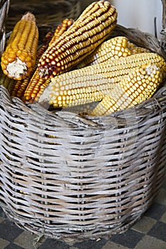 corncobs on a basket