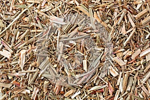 Close view of organic cut sheep