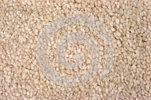 Close view of plush tan carpeting photo