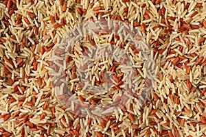 Close view of a portion of long grain brown rice and red rice