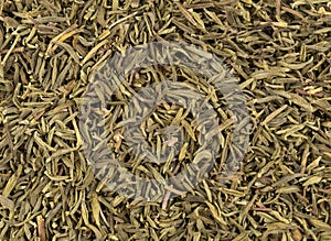 Close view of a portion of organic thyme leaf