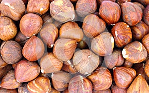 Close View Raw Filbert Nuts