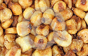 Close view of roasted salted corn nuts