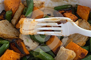 Close view of a roasted turkey TV dinner with a fork