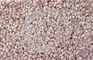 Close view of rose carpeting