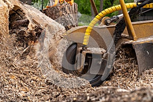 A close view of the round milling head of a stump cutter that performs strain grinding photo