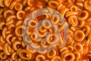 Close view of round spaghetti in a tomato sauce