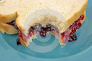 Close view sandwich bitten