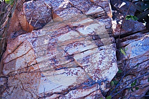 CLOSE VIEW OF SEGMENTED ROCK WITH WHITE AND RED COLOURING