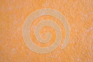 Close view of a shammy cloth